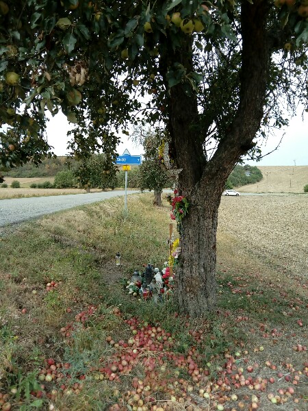Pomník u silnice - Chudčice - Sentice